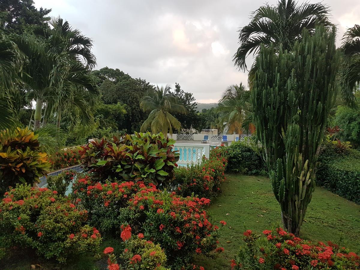 Skycastle Oasis Lejlighed Ocho Rios Eksteriør billede