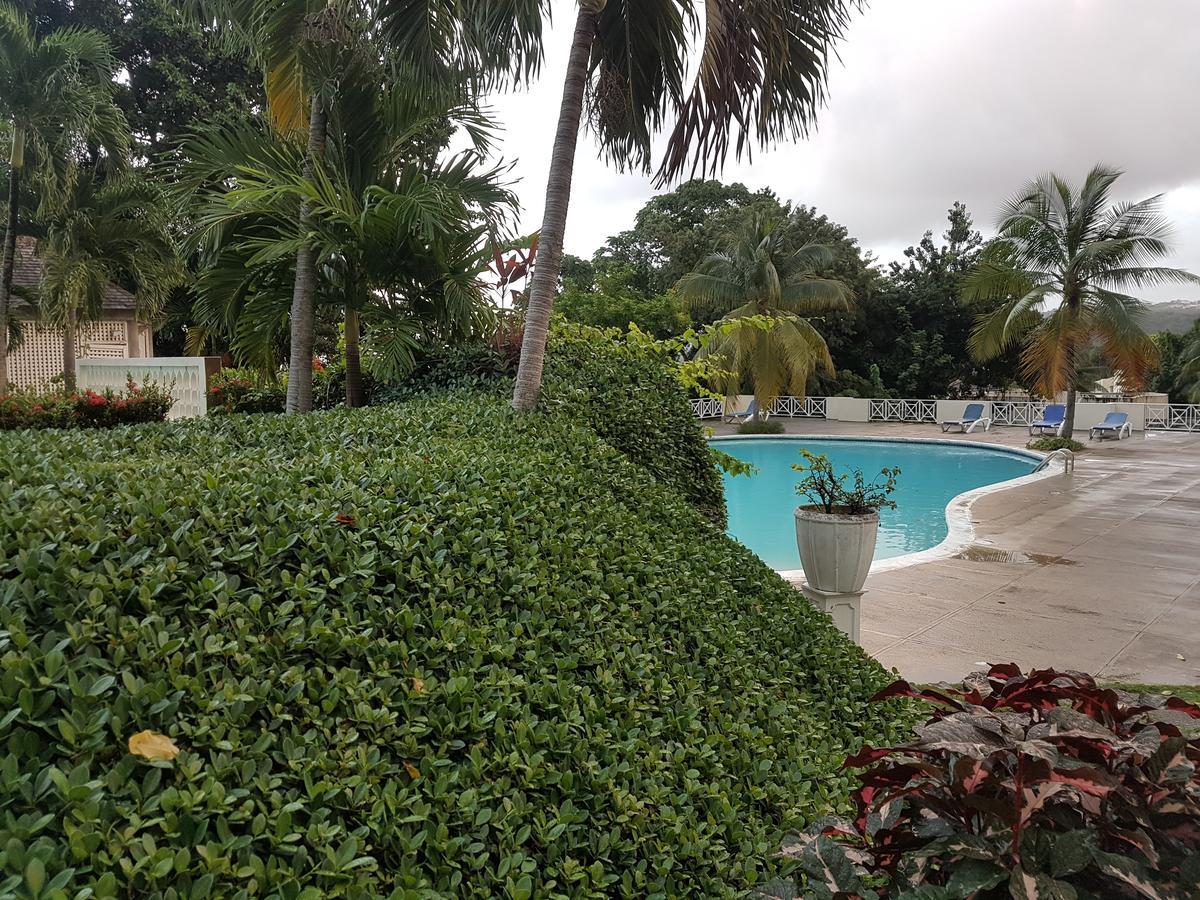 Skycastle Oasis Lejlighed Ocho Rios Eksteriør billede
